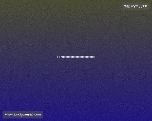 FIFA世界杯竞猜技巧与玩法全面解析及参与指南攻略与规则详解